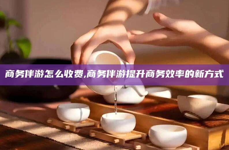 梅州商务伴游怎么收费,商务伴游提升商务效率的新方式